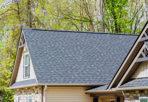 Best Roof Ventilation Installation  in Allardt, TN