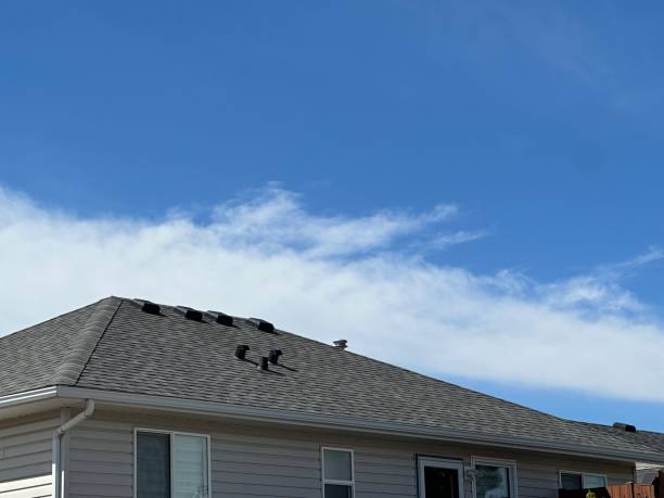 Best Metal Roofing Installation  in Allardt, TN